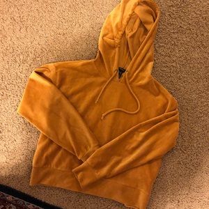 forever 21 Cropped Velvet Sweatshirt
